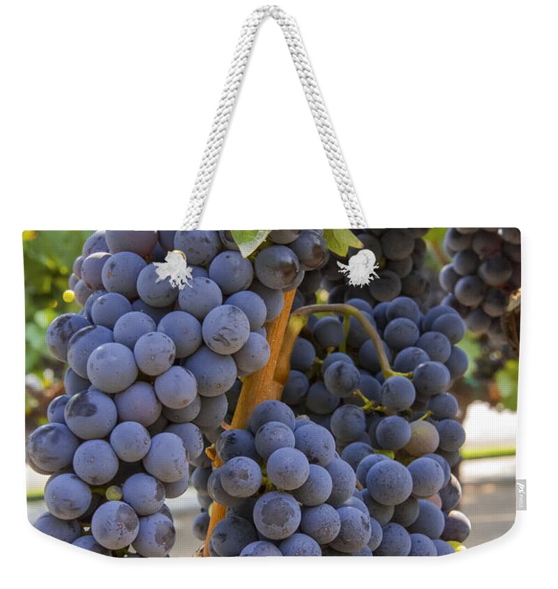 Yountville Napa Valley California Grape Grapes Grapevine Grapevines Vine Vines Vineyard Vineyards Leaf Leaves Fruit Fruits Food Foods Bunch Cluster Clusters Bunches Weekender Tote Bag featuring the photograph Grape Cluster by Bob Phillips