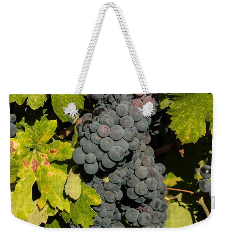 Grapes Weekender Tote Bag featuring the photograph Grape Harvest by Suzanne Luft