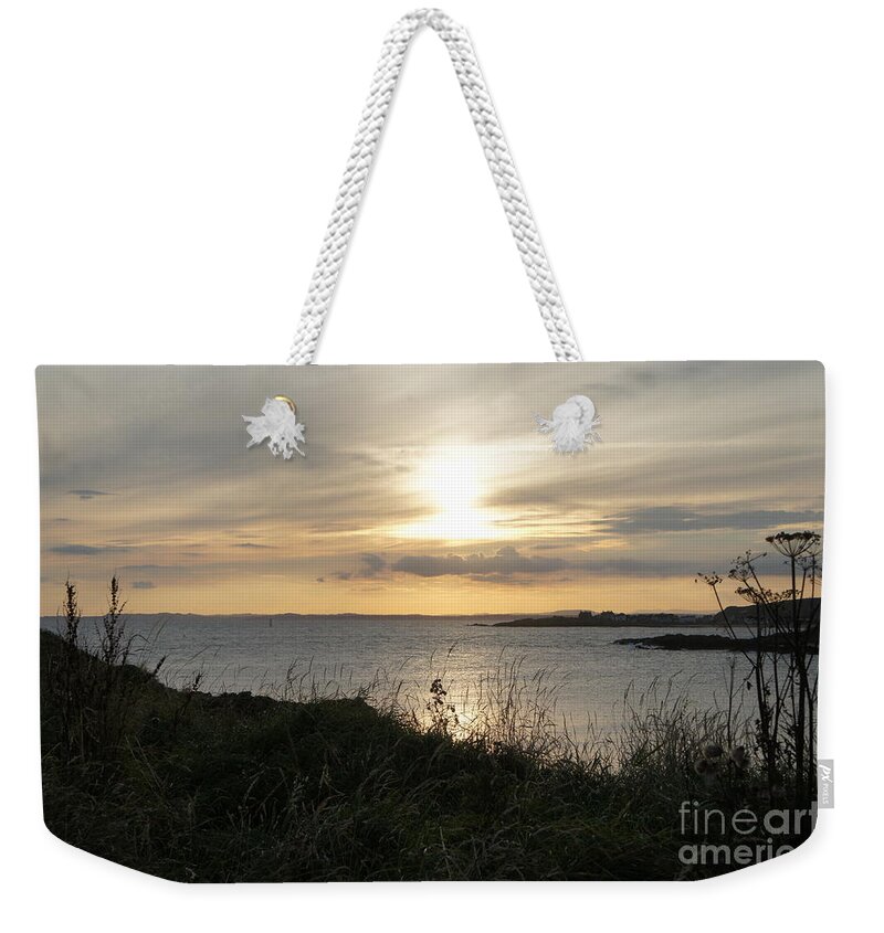 Sunset In Eli Weekender Tote Bag featuring the photograph Grass in the setting sun by Elena Perelman