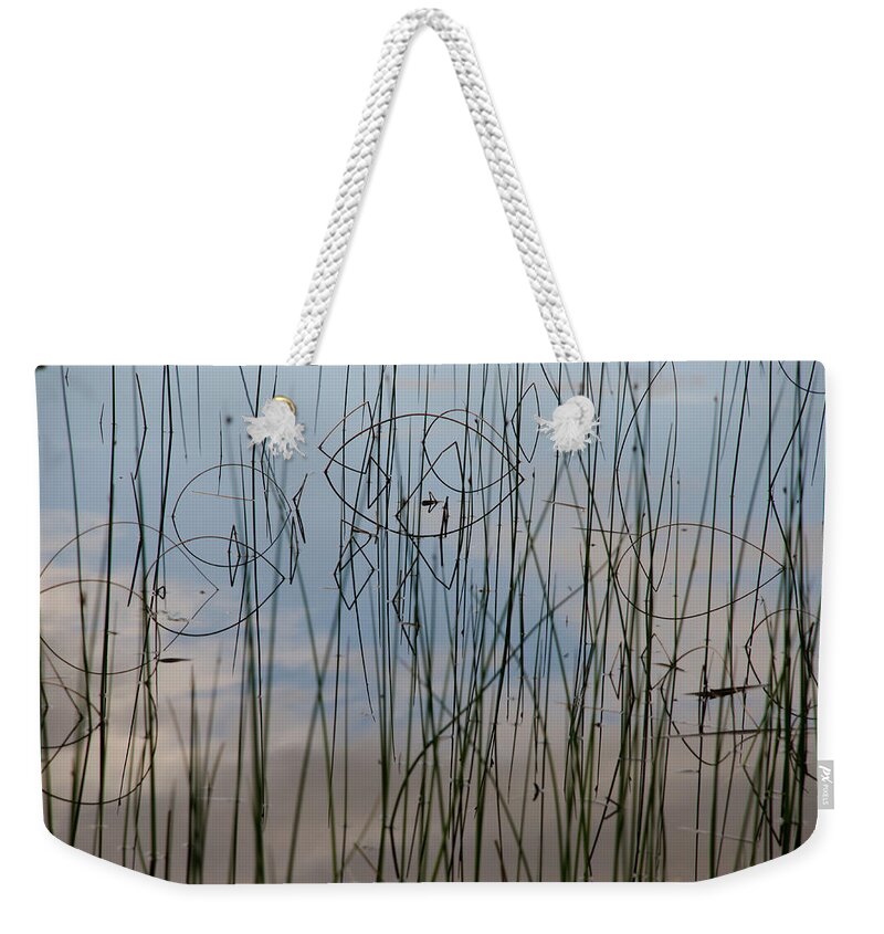 Grass Weekender Tote Bag featuring the photograph Grass Reflections by Kathy Paynter