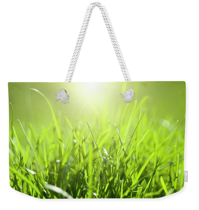 Grass Weekender Tote Bag featuring the photograph Grass With Sunlight by Neoblues