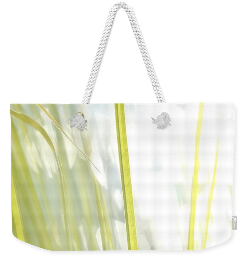 Balance Weekender Tote Bag featuring the photograph Grasses and lake - high key - available for licensing by Ulrich Kunst And Bettina Scheidulin