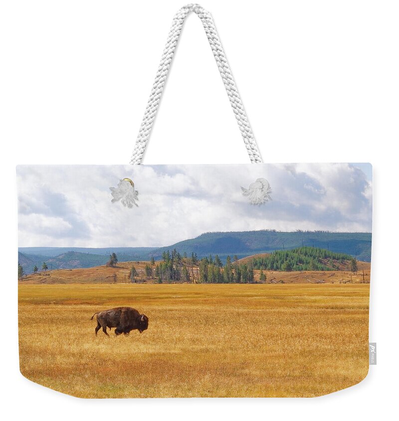 Wyoming Weekender Tote Bag featuring the photograph Grazing Buffalo by Lars Lentz