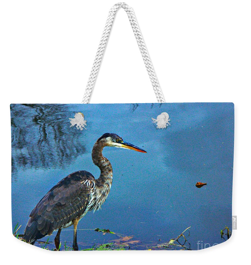 Great Blue Heron Weekender Tote Bag featuring the photograph Great Blue along the Canal by Gary Richards
