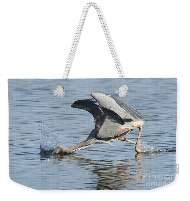 Great Blue Heron Weekender Tote Bag featuring the photograph Great Blue Heron Fishing by Anthony Mercieca