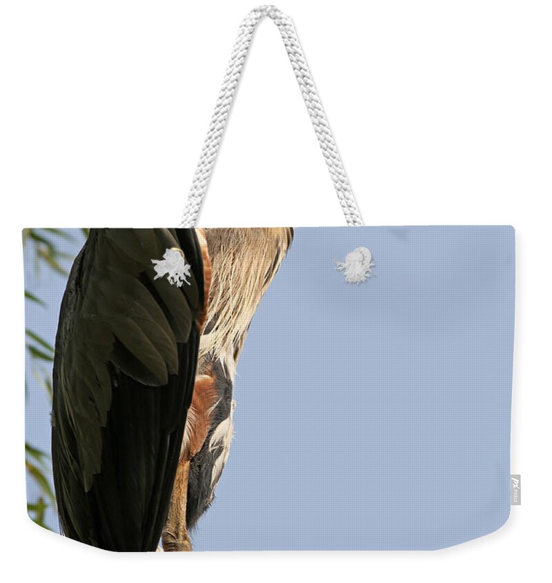 Heron Weekender Tote Bag featuring the photograph Great Blue Heron by Juergen Roth