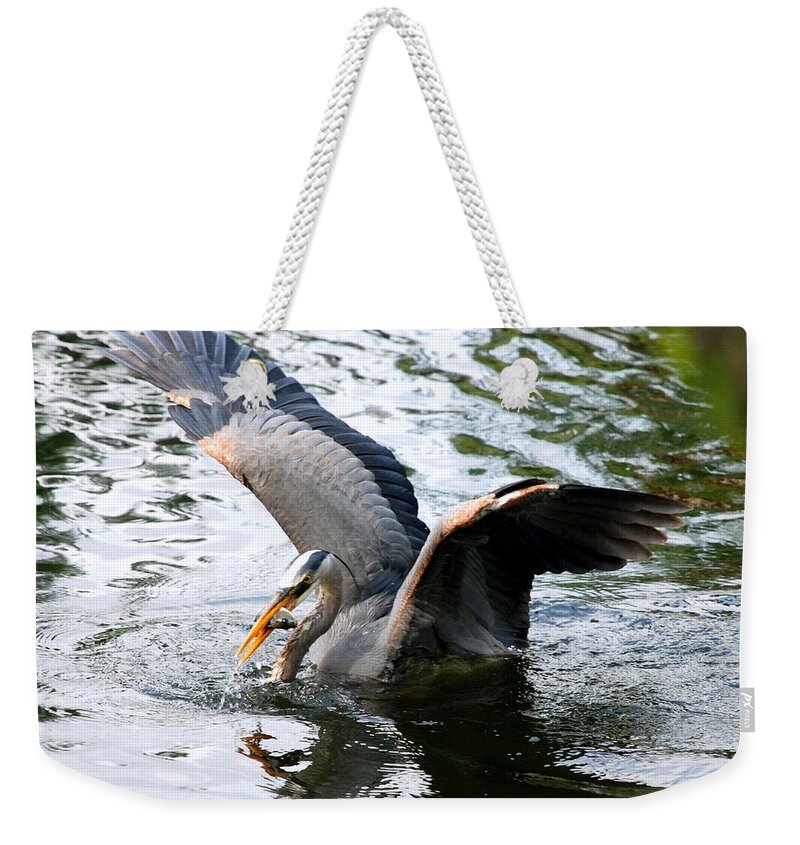 Heron Weekender Tote Bag featuring the photograph Great Blue Heron by Larry Ward