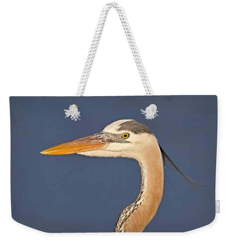 Bird Weekender Tote Bag featuring the photograph Great Blue Heron Portrait by Susan Candelario