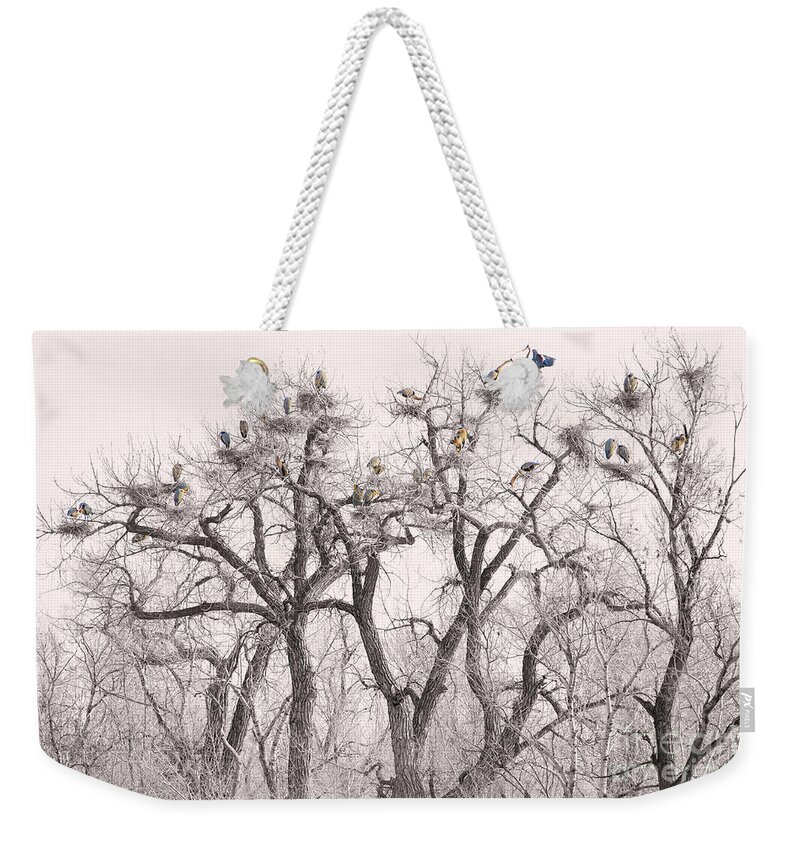 Animals Weekender Tote Bag featuring the photograph Great Blue Herons Colonies by James BO Insogna