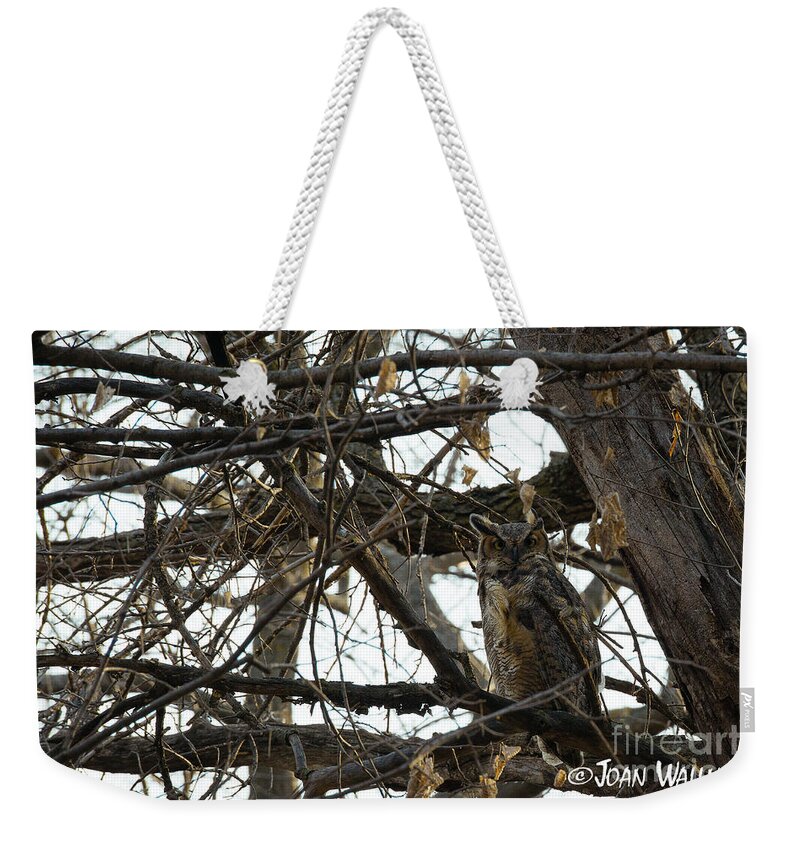 Great Horned Owl Weekender Tote Bag featuring the photograph Great Horned Owl by Joan Wallner