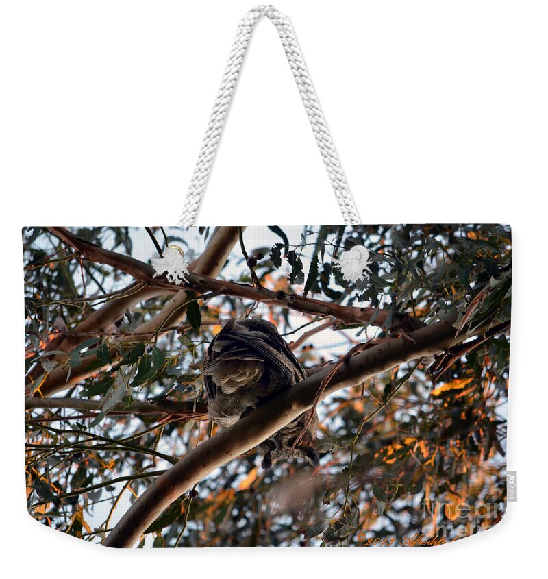 Great Horned Owl Weekender Tote Bag featuring the photograph Great Horned Owl Looking Down by Afroditi Katsikis