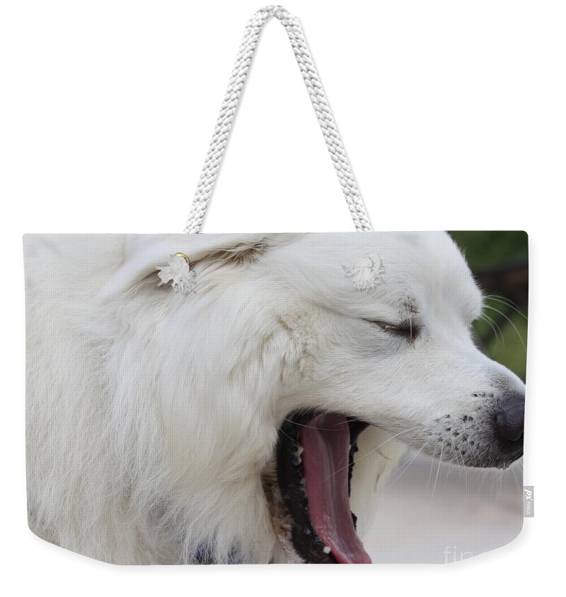 Great Pyrnesse Feelin A Little Tired Weekender Tote Bag featuring the photograph Great Pyrnesse Feelin A Little Tired by John Telfer