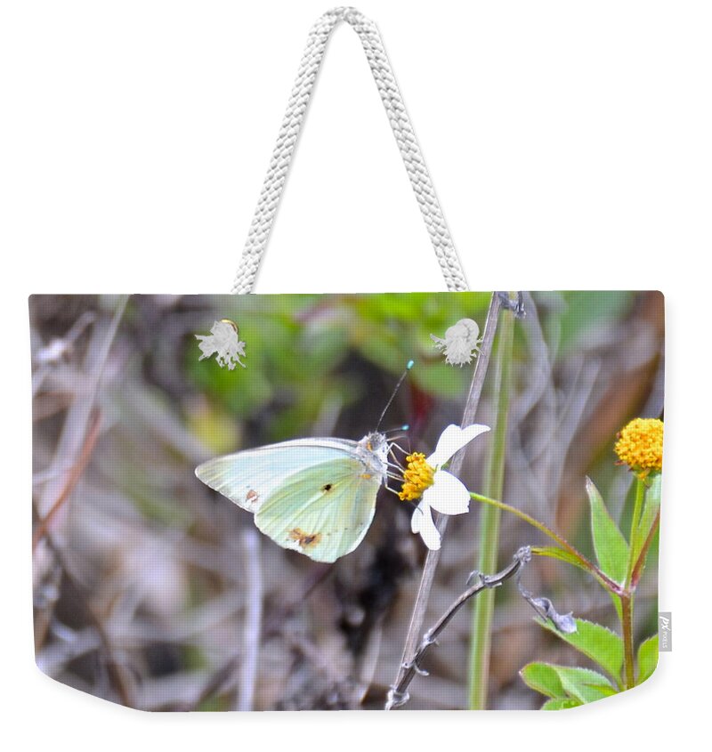 Butterfly Weekender Tote Bag featuring the photograph Great Southern White II by Carol Bradley