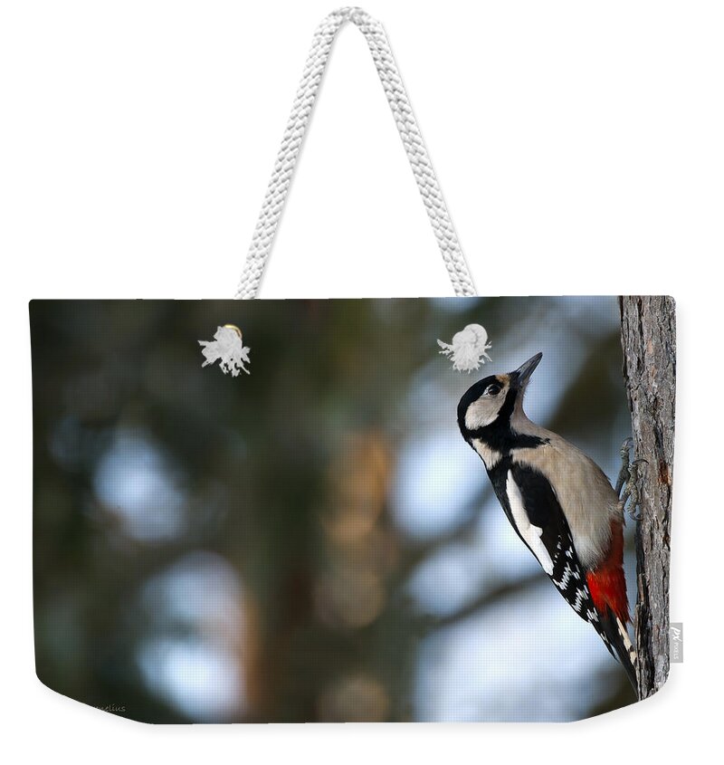 Great Spotted Woodpecker Weekender Tote Bag featuring the photograph Great Spotted Woodpecker by Torbjorn Swenelius
