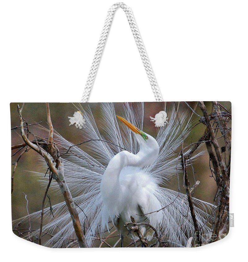 Birds Weekender Tote Bag featuring the photograph Great White Egret With Breeding Plumage by Kathy Baccari