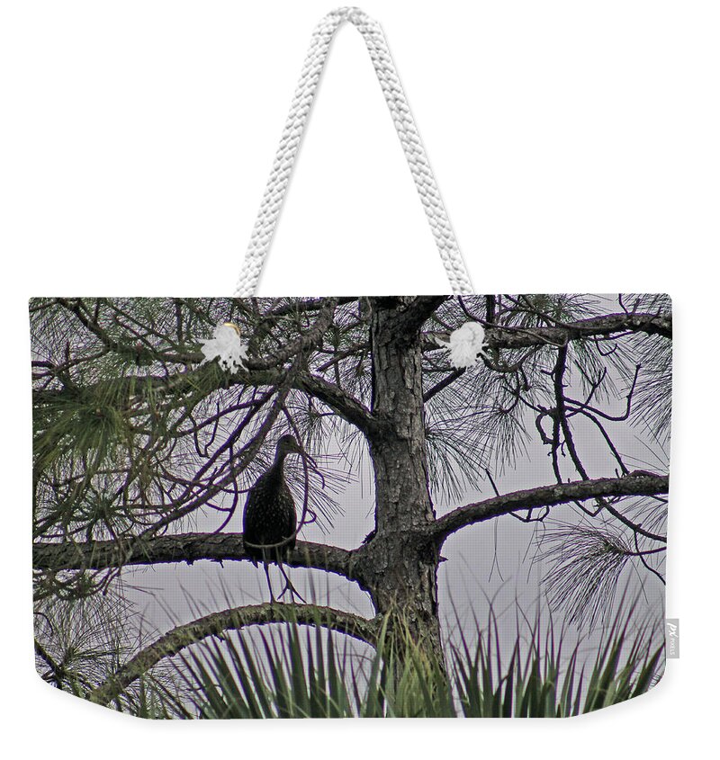 Stork. Bird Weekender Tote Bag featuring the photograph Green cloudy by Lily K