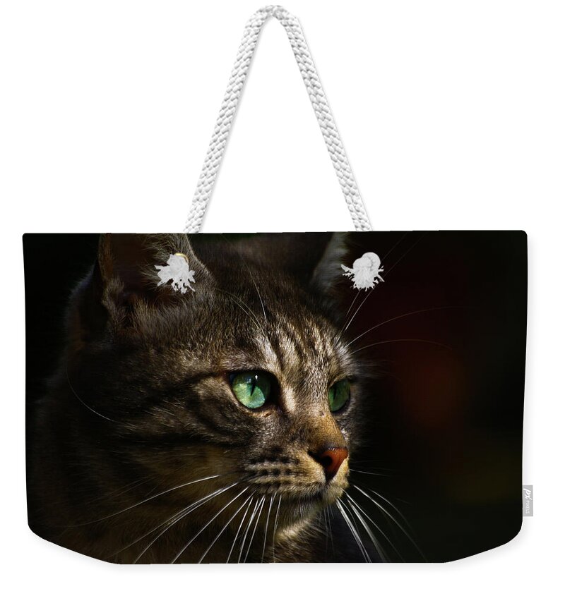 Pets Weekender Tote Bag featuring the photograph Green Eyes by Annfrau