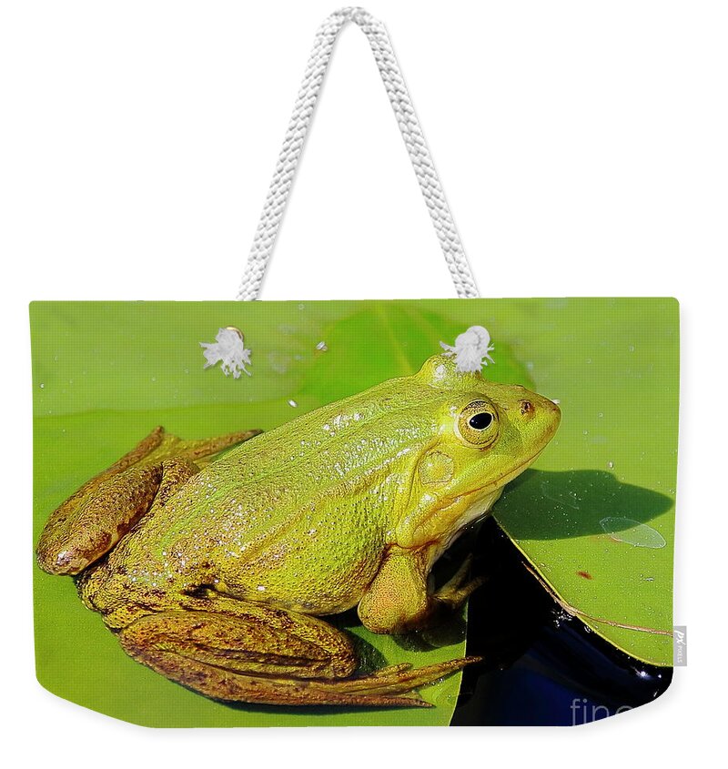 Frogs Weekender Tote Bag featuring the photograph Green Frog 2 by Amanda Mohler