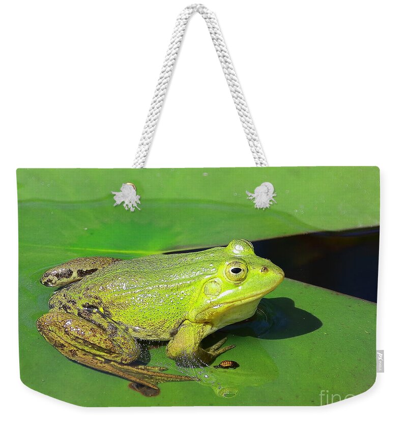 Frogs Weekender Tote Bag featuring the photograph Green Frog by Amanda Mohler