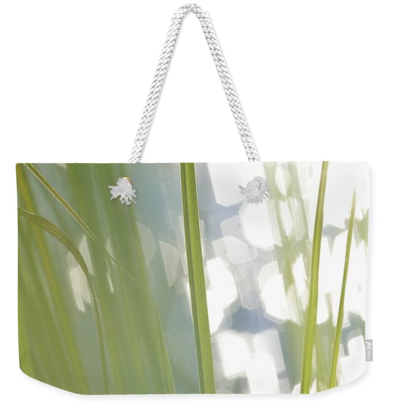 Balance Weekender Tote Bag featuring the photograph Green grass and glittering lake - available for licensing by Ulrich Kunst And Bettina Scheidulin