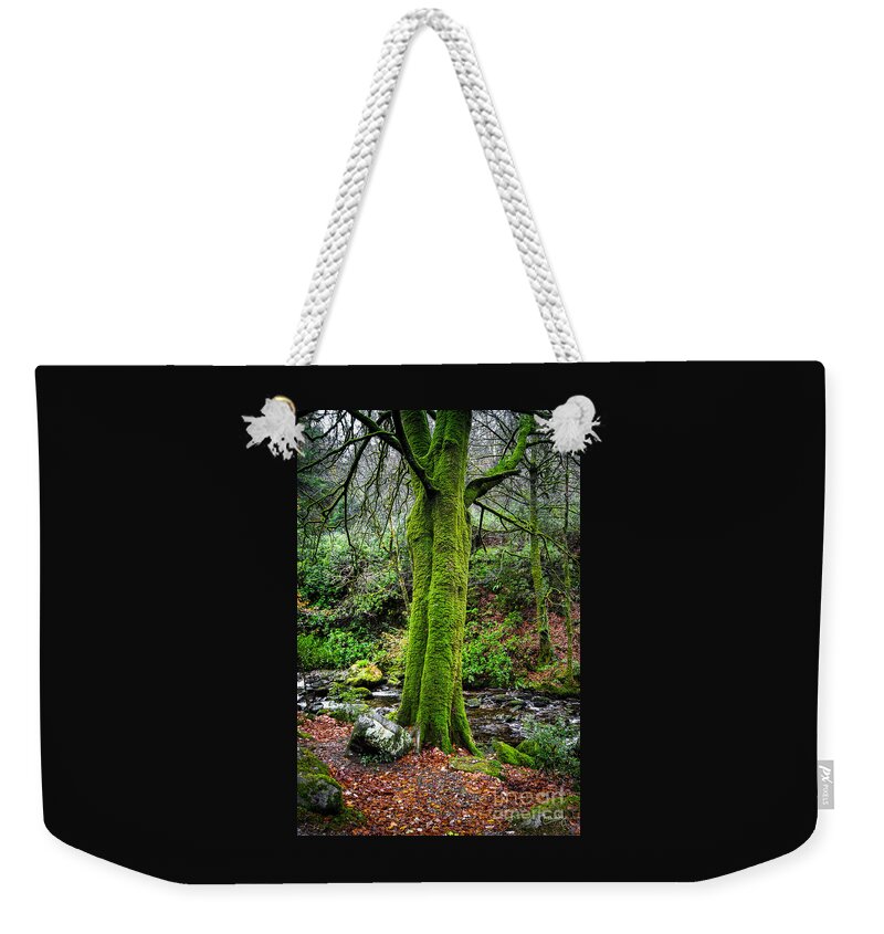 Green Moss Weekender Tote Bag featuring the photograph Green Green Moss by Imagery by Charly