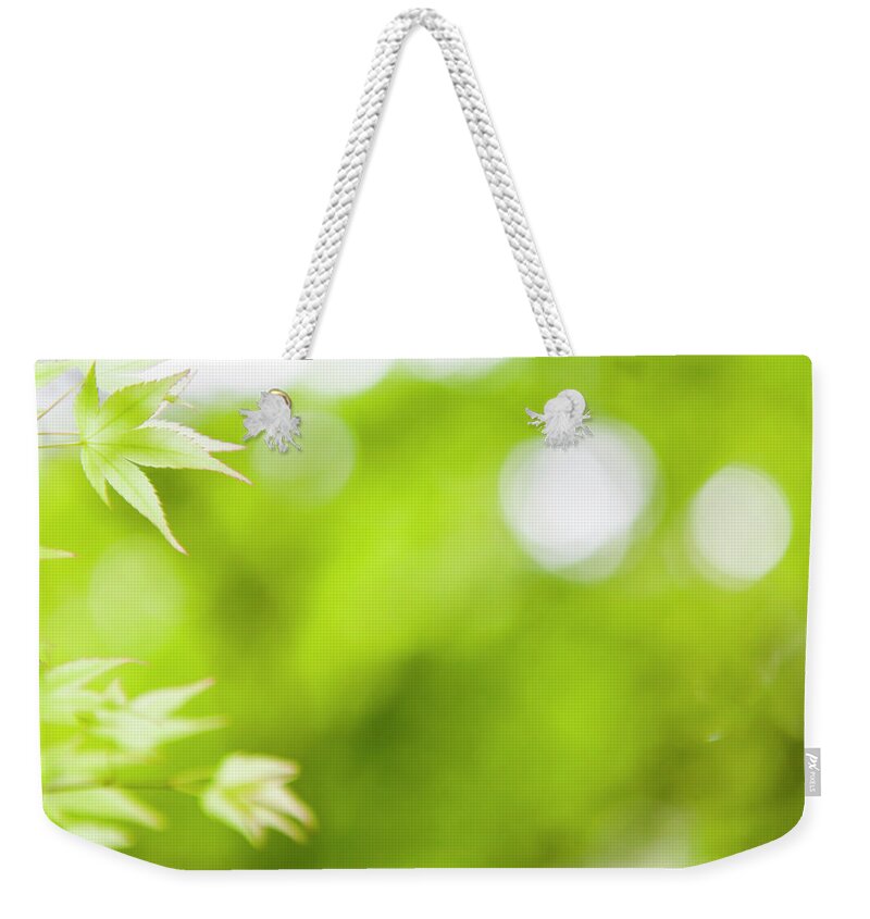 Outdoors Weekender Tote Bag featuring the photograph Green Leaves by Shan Shui