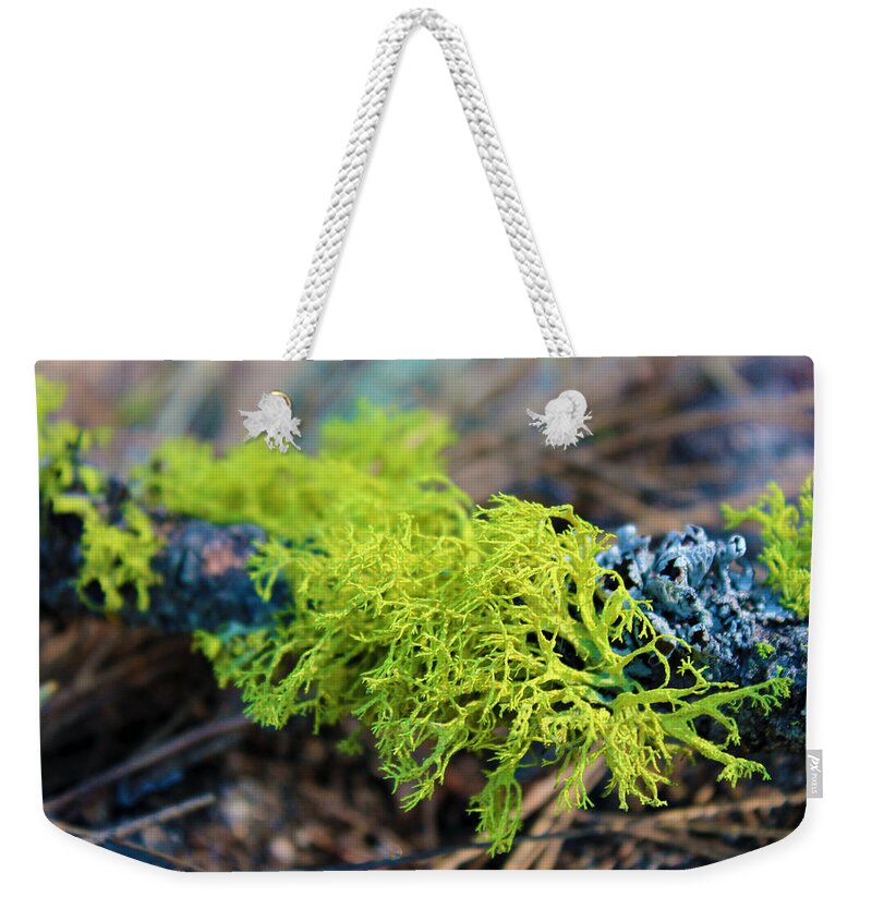 Green Weekender Tote Bag featuring the photograph Green Lichen by Josh Bryant