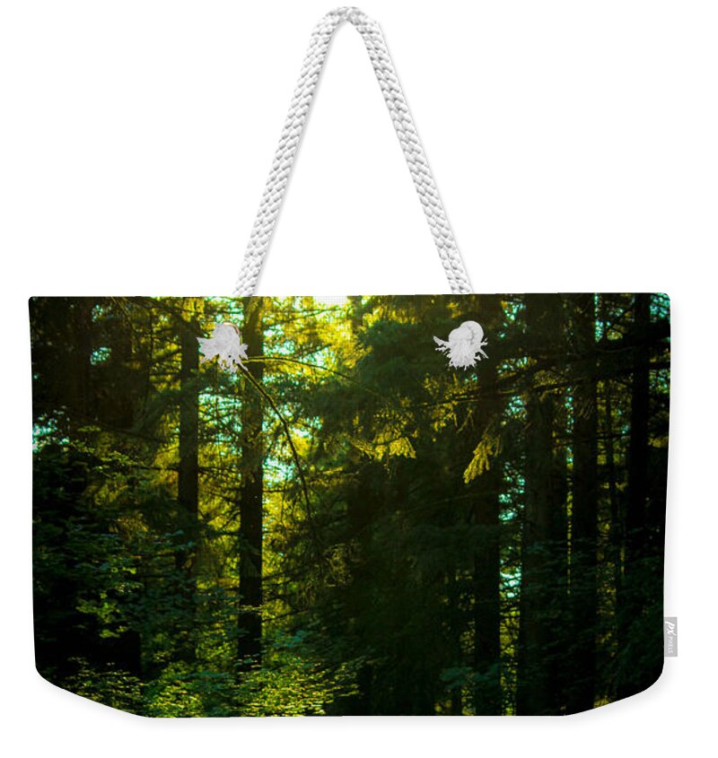 Green Man Weekender Tote Bag featuring the photograph Green Man of the Woods by Patricia Babbitt