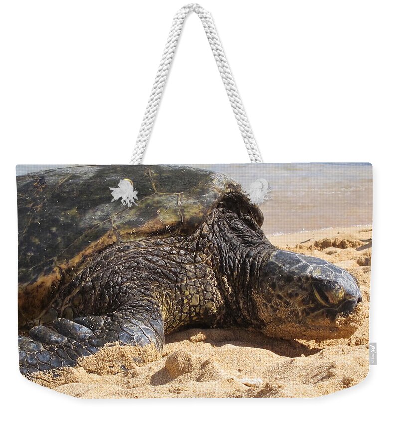 Green Weekender Tote Bag featuring the photograph Green Sea Turtle 2 - Kauai by Shane Kelly