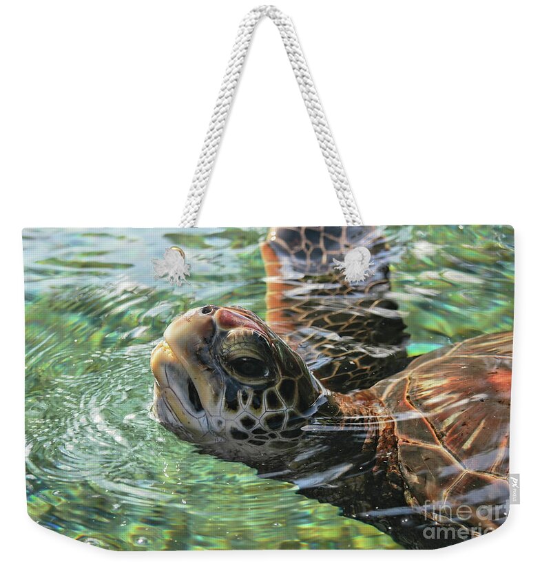Turtle Weekender Tote Bag featuring the photograph Green Sea Turtle by Al Andersen