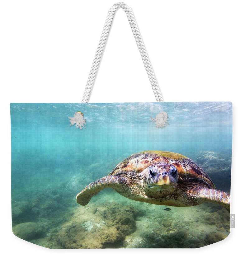 Underwater Weekender Tote Bag featuring the photograph Green Sea Turtle Chelonia Mydas by Danilovi