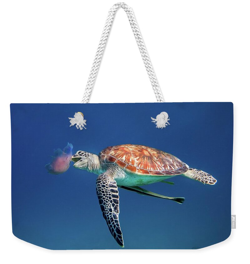 Underwater Weekender Tote Bag featuring the photograph Green Sea Turtle Eating Jellyfish by Ai Angel Gentel