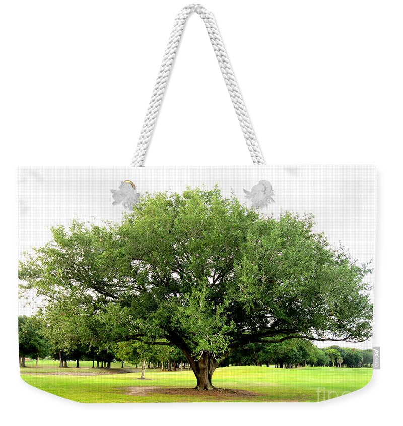 Tree Weekender Tote Bag featuring the photograph Green Tree by Oksana Semenchenko