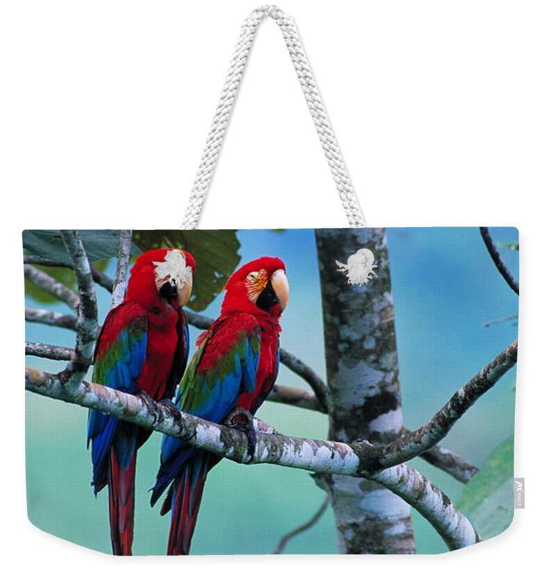 Green-winged Macaws Weekender Tote Bag featuring the photograph Green-winged Macaws by Art Wolfe