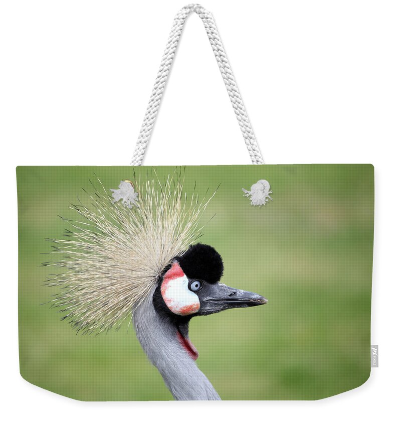 Animal Themes Weekender Tote Bag featuring the photograph Grey Crowned Crane by Marcel Ter Bekke