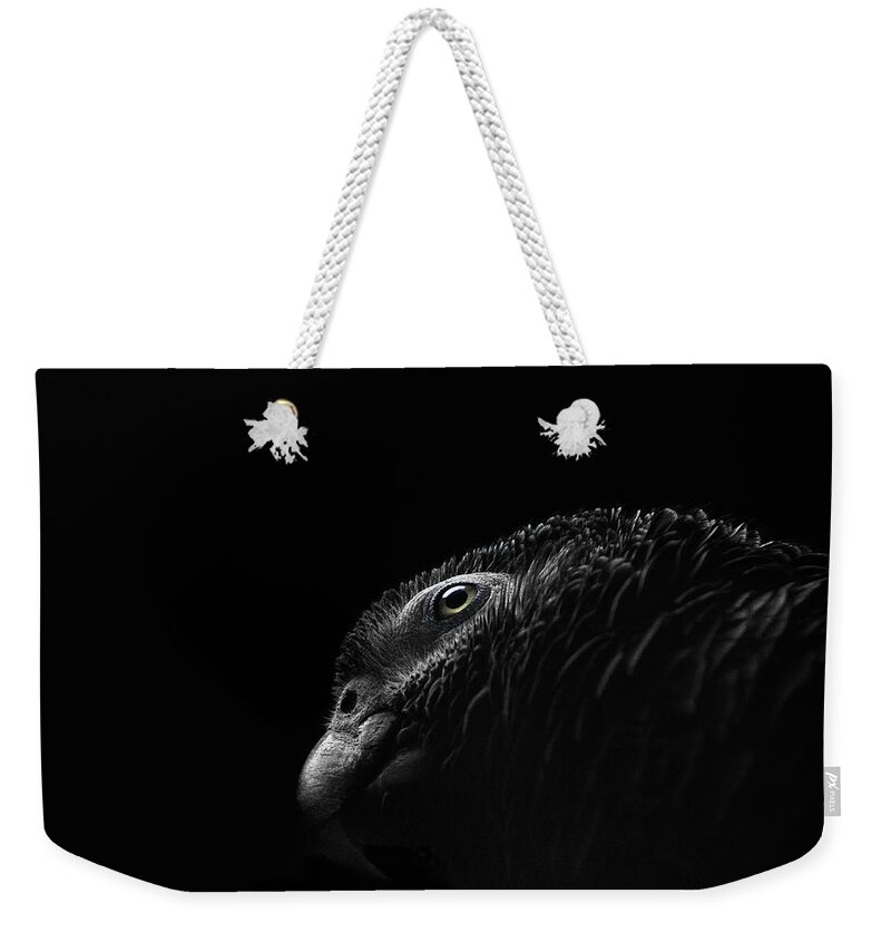 Animal Themes Weekender Tote Bag featuring the photograph Grey Parrot by © Christian Meermann