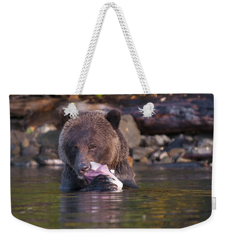 Grizzly Weekender Tote Bag featuring the photograph Grizzly and Salmon by Bill Cubitt