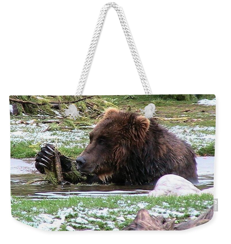 Animals Weekender Tote Bag featuring the photograph Grizzly Bear 05 Postcard by Thomas Woolworth