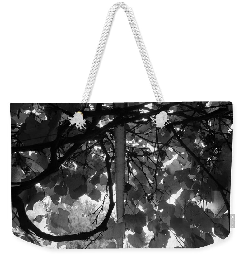 Skompski Weekender Tote Bag featuring the photograph Gropius Vine - Black and White by Joseph Skompski