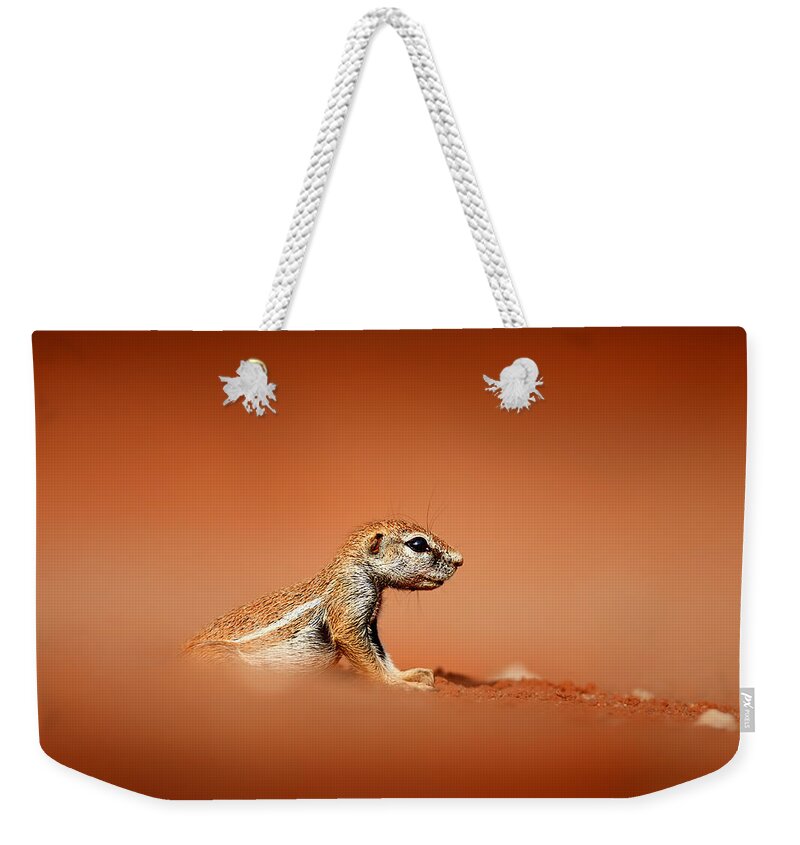 Low Angle View Weekender Tote Bags