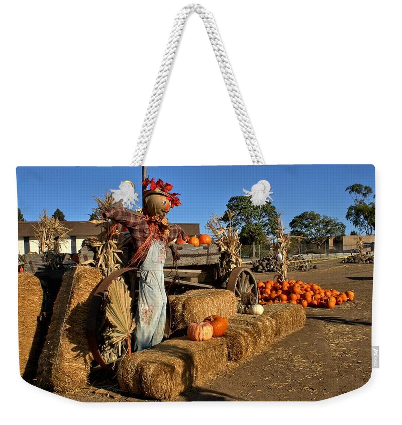 Pumpkins Weekender Tote Bag featuring the photograph Guarding the Pumpkin Patch by Michael Gordon