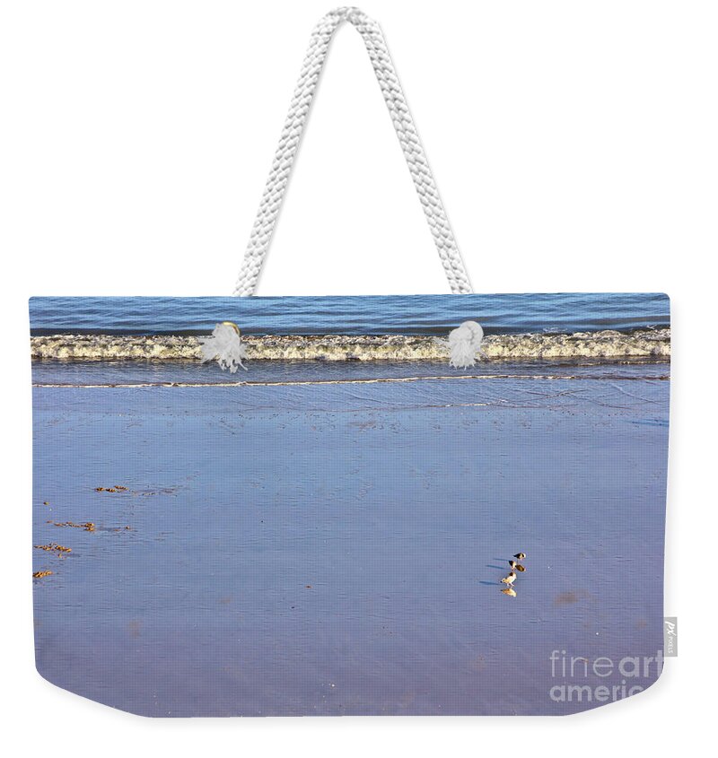 Gulls Weekender Tote Bag featuring the photograph Gulls on the Beach by Jeremy Hayden