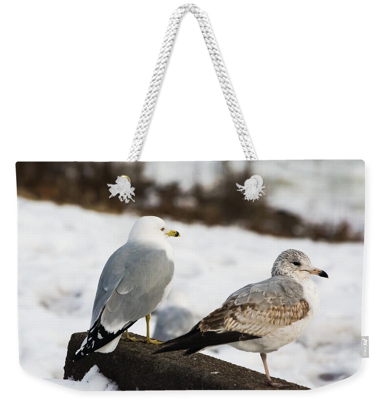 Gulls Weekender Tote Bag featuring the photograph Gulls on the lookout by Holden The Moment