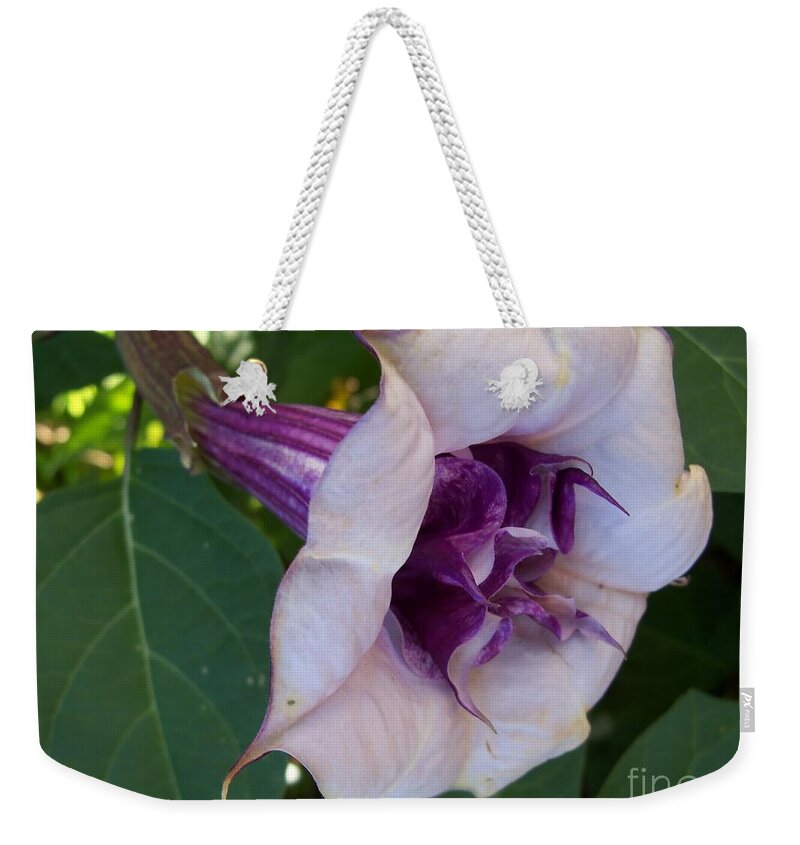 Flower Macro Weekender Tote Bag featuring the photograph Gypsy Ballerina by Lingfai Leung