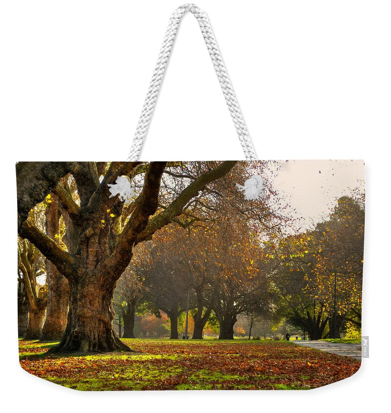 Fall Weekender Tote Bag featuring the photograph Hagley in Autumn by Jenny Setchell