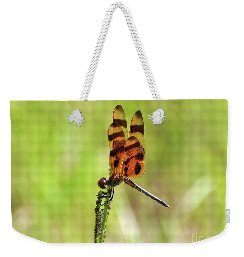 Dragonfly Weekender Tote Bag featuring the photograph Halloween Pennant by Al Powell Photography USA