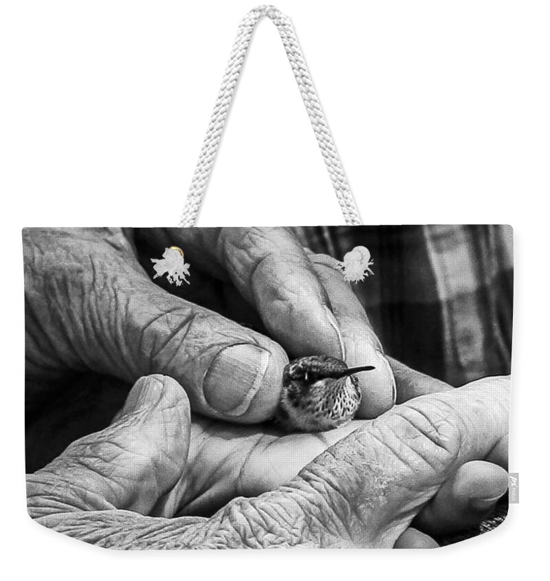 Hummingbird Migration Festival Weekender Tote Bag featuring the photograph Hands Holding a Hummingbird by Jon Woodhams