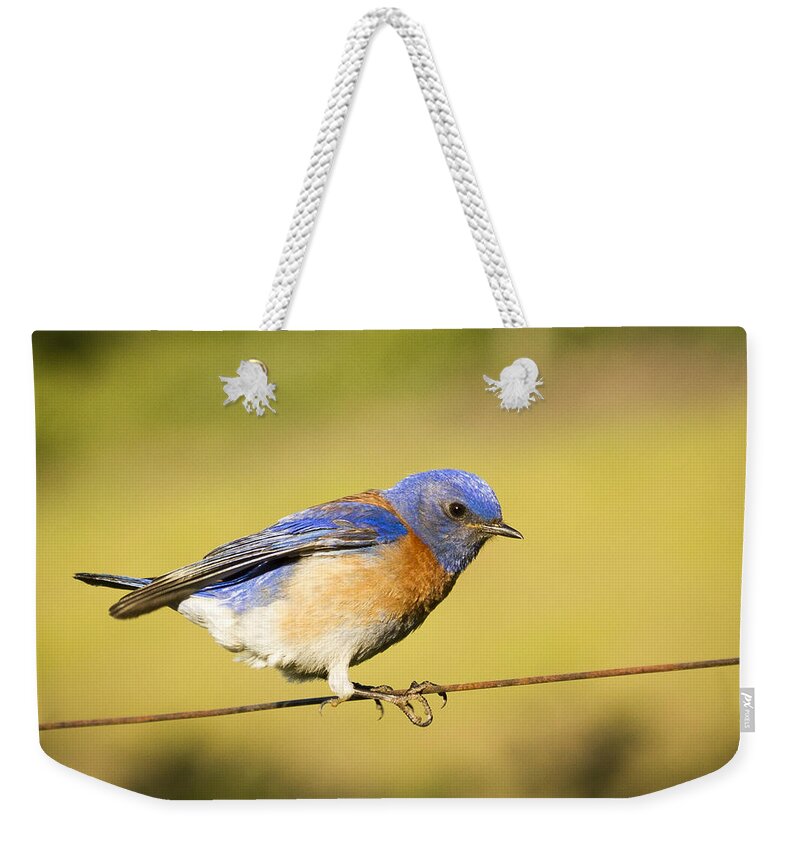 Weekender Tote Bag featuring the photograph Hang On by Jean Noren