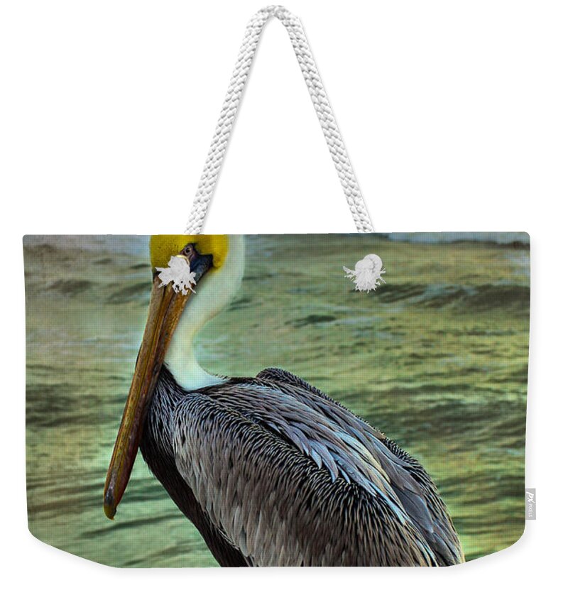 Nature Weekender Tote Bag featuring the photograph Hanging Around by Steven Reed