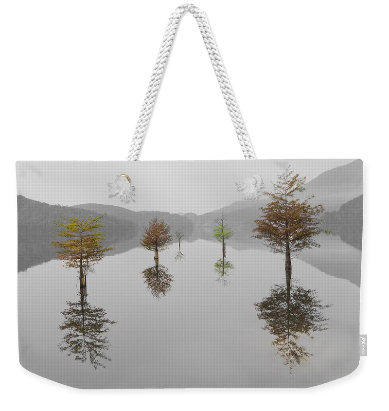 Appalachia Weekender Tote Bag featuring the photograph Hanging Garden by Debra and Dave Vanderlaan